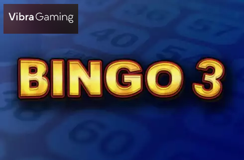 Bingo 3